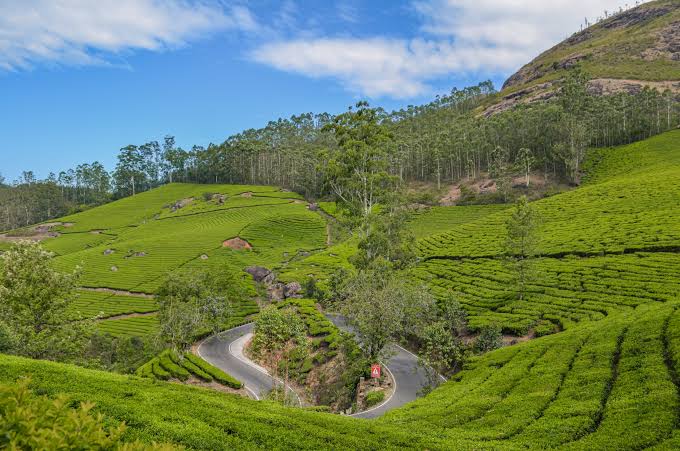 Munnar camping, 5 nights 6 days package